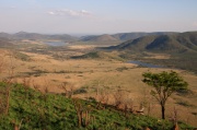 landscape (1)